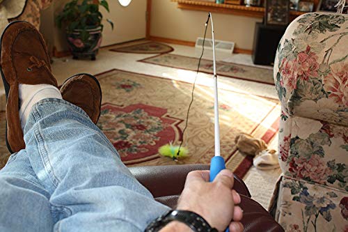 Pet Fit for Life Retractable Interactive Cat or Kitten Wand with 2 Feathers and 1 Soft Furry Combo - style: 2 Feathers + Fish