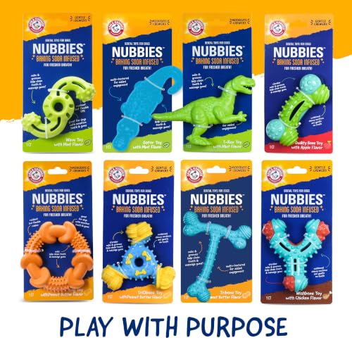 Arm & Hammer Nubbies T-Bone Dental Dog Chew Toy, Peanut Butter Flavor, 2-Pk - color: Blue T-Bone, size: 2 Count