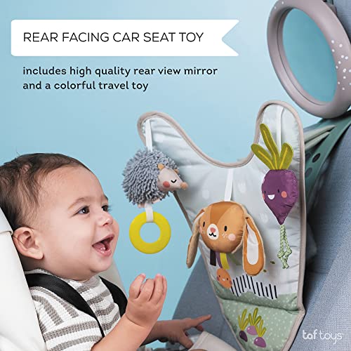 Taf Toys Infant Car Seat Development Center Newborn Baby Essentials Must Haves Toy, Car Seat Accessories Activity Center with Car Seat Mirror, for Newborn Toys 0 3 Months Brain Development - style: Bunny