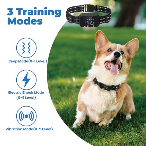 Flirt Pole for Dogs & GPS Wireless Dog Fence for Small Medium Large Dogs Training Playing Exercise