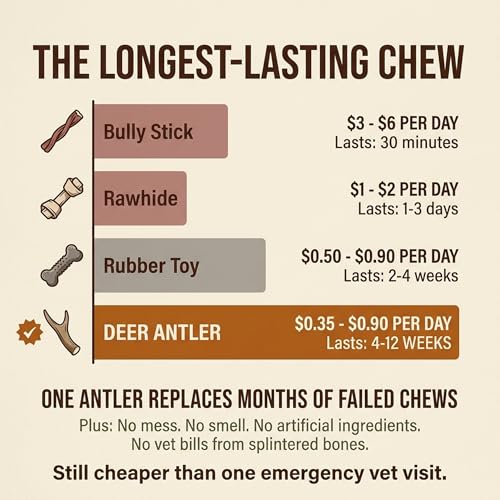 Heartland Antlers Deer Antler Dog Chew, Giant 9 in+, 85+ lb Dogs - style: Giant (Dogs 85+ lbs)