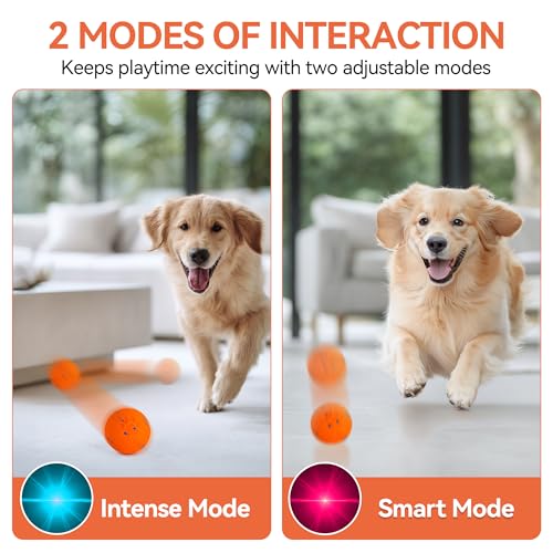 ALL FOR PAWS Interactive Dog Toy, Smart Moving Ball with 2 Play Modes, E-TPU Material, USB Rechargeable Motion-Activated Bouncing Ball for Medium Large Dogs, Automatic Rolling Keeps Dog Busy - color: Orange Ball