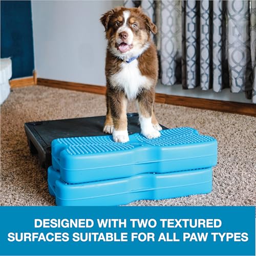 Blue-9 Propel Dog Training Platform, Balance, Stability, Turquoise, 2-Pack - color: Turquoise