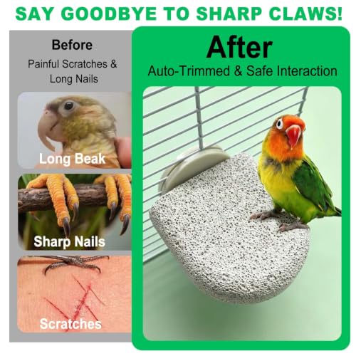 4Pcs Bird Beak Grinding Stone Lava Ledge Parrot Perch Stand Platform,Grey-S - color: 4Pack Grey | S