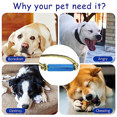 Interactive Dog Toys，Crate Training Aids for Puppies，Green - color: Green
