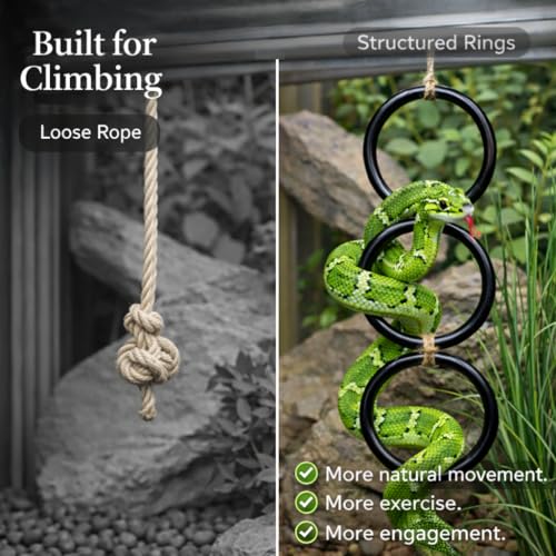 2PCS Snake Climbing Rings for Ball Python - Enrichment Toys for Corn Snake