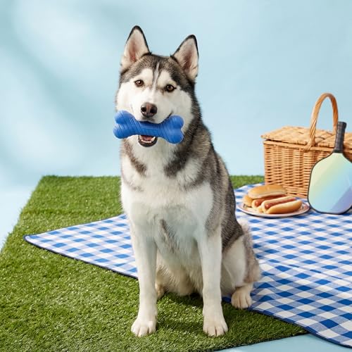Playology Fun Fetch and Chew Dog Toy Box - Jumbo, Hot Dog/Watermelon Scents - size: Jumbo