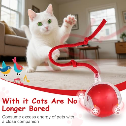 Interactive Cat Toys Smart Ball for Cats & Dogs! Now with 2 Rapid Tails. Features: 360°Auto-Rolling, Motion Activation& Bird Sounds. Perfect for Indoor Pet Exercise & Fun. (Red＆Blue) - color: Red＆Blue