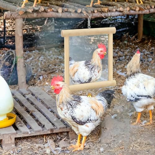 Sadnyy Extra Large Chicken Mirror Toy for Coop Square Double Side Mirror - color: Wood, size: Square