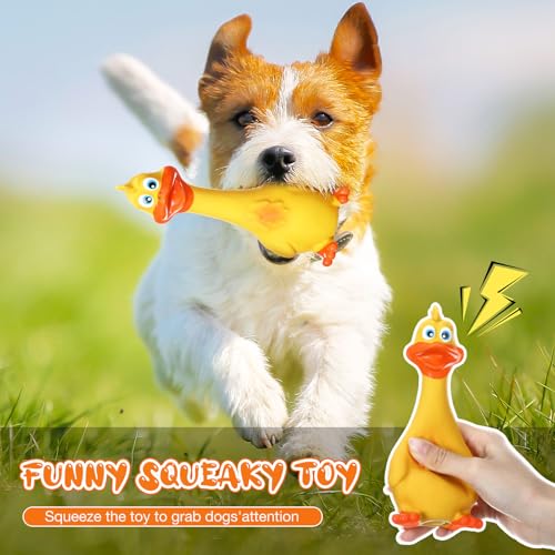 6 Pcs Latex Chicken Squeaky Dog Toys for Small Med Dogs, Cute Style