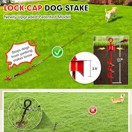 Snagle Paw Dog Tie Out Cable and Stake with Lock-Cap,Heavy Duty 30FT Dog Yard Leash & Stake with Shock Absorbing Bungee Tether,Rust Proof Ground Anchor for Yard, Beach, Camping & Outdoor,up to 360 Lbs - color: Red, 17in Stake (30ft Cable)
