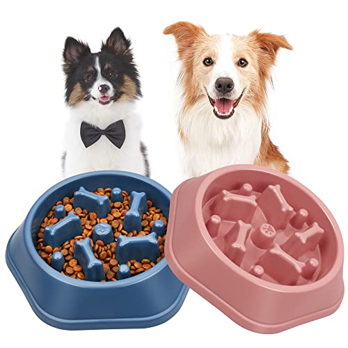 UPSKY Slow Feeder Dog Bowl Anti-Chocking Slower Feeding Pet Puzzle Bowls - color: M-Blue+Pink