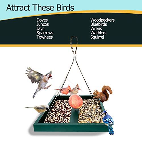 Solution4Patio 360° Viewing Outdoor Platform Bird Feeder, Rustproof Mesh - style: Green Platform