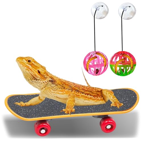 7 pcs Breaded Dragon Toys Set, Lizard Feed Balls Enrichment Toy Skateboard