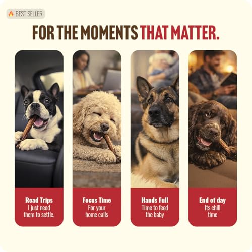 Natural Farm Bully Sticks, Odor-Free, (6 Inch, 12 Ounces), Packaged by Weight, 100% Beef Pizzle Chews, Grass-Fed, Fully Digestible Treats to Keep Your Puppies, Small and Medium Dogs Busy - size: 6" Standard - 12 Ounce