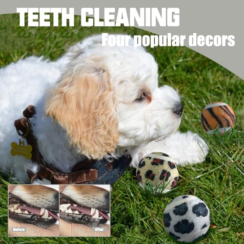 X-Small Dog Tennis Balls Dog Toys Ball 1.5" Pack of 12, Fit Ball Launchers - color: Animal style