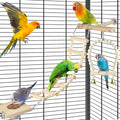 DBNESS 5in1 Bird Toys, Birdie Perches Platform Swing with Stainless Steel Feeding Cup Climbing Ladder, Wooden Play Gym for Cockatiels Lovebirds Budgies Pacific Parrotlets Finch Canaries - size: 5 in 1