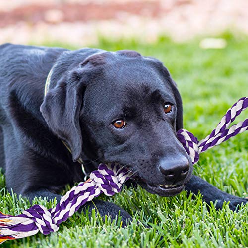 SHARLOVY Large Tough Chew Toys for Aggressive Chewers, 9 Pack Dog Rope Toys - color: 9 Packs, size: Large