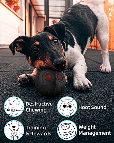 Mewlmart Giggle Ball for Dogs Owl Dog Toys for Aggressive Chewers Gift for Dog Natural Rubber Ball Cute Owl Hoot Medium Large Dog (Demon) - color: Black Owl Red Eyes