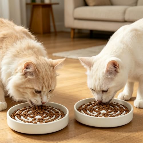 Ceramic Slow Feeder Dog Bowls，6.4inch Cat Slow Feeding Bowl for Small Breed Dogs and Cats,Set of 2 Fun Maze Interactive Bloat Stop Puzzle Bowls Dishwasher Safe - color: White