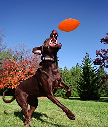 Jolly Pets Jolly Football Dog Toy, 8 in, Orange, Floats