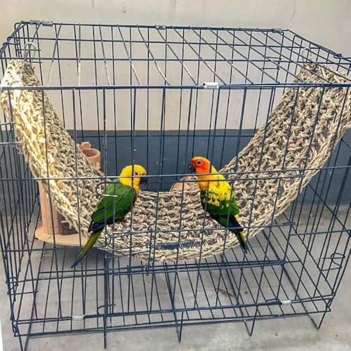 Bird Seagrass Mat 30 x 7 Inch Parrot Natural Seagrass Woven Net Hammock Parakeet Climbing Rope Ladder Mat Chew Toys Cage Accessories for Pigeon Macaw Cockatiel Conure Cockatoo Rat Bearded Dragon - size: 1Pc 30" × 7"