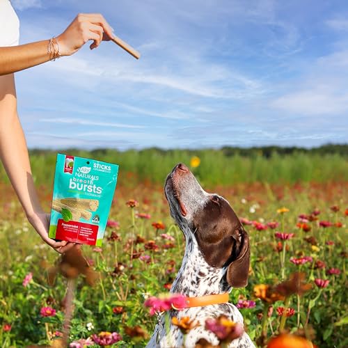 ARK NATURALS Breath Bursts Peppermint Dog Dental Treats, Large Breed (6 oz) - size: 6 Ounce (Pack of 1)