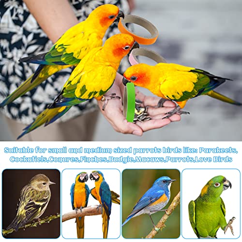 Jenaai 24 Pcs Chew Bagels Bird Toys for Parrots 2.4 Inch Wood Bird Chew Toys Colorful Cardboard Foraging Chew Foot Wooden Training Toy for Cockatiels Cockatoos Macaws and Similar Sized Pet Birds