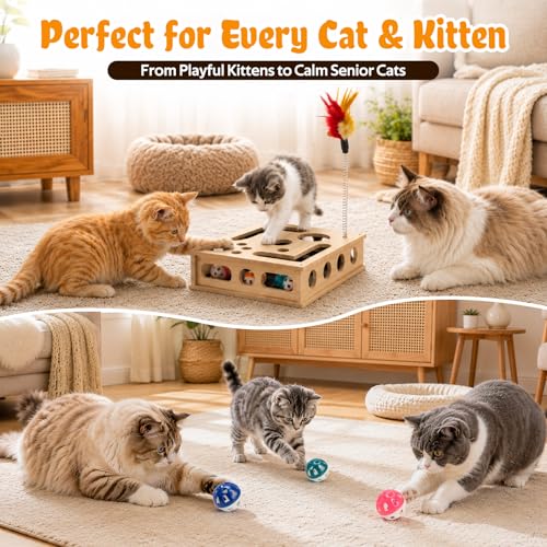Cat Toys for Indoor Cats - Interactive Box Puzzle Toy Nail File Scratcher