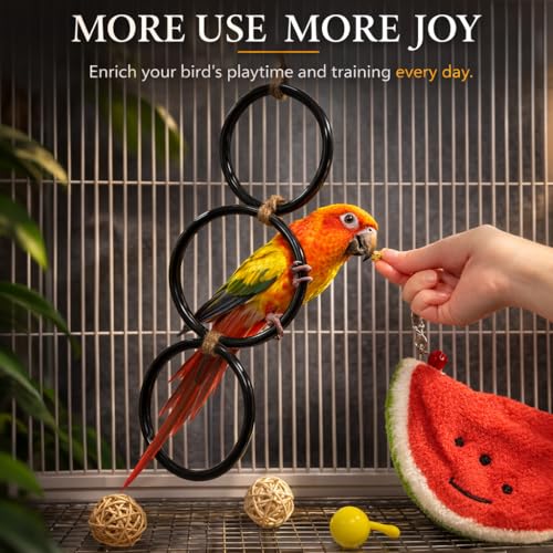 2PCS Snake Climbing Rings for Ball Python - Enrichment Toys for Corn Snake