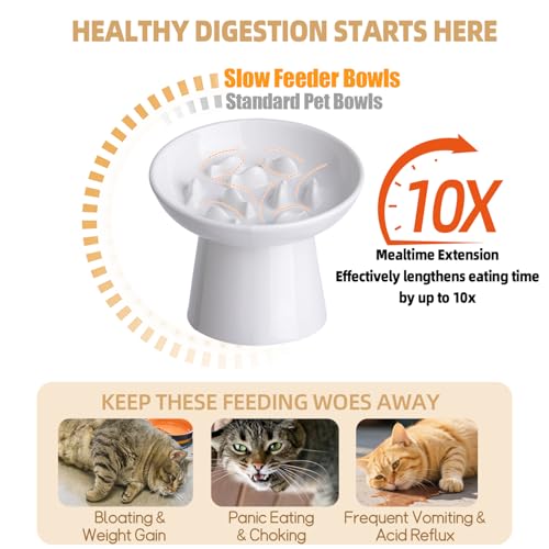 Ceramic Elevated Slow Feeder Cat Bowl - 6" Raised Cat Food Bowl for Bloat Relief & Anti-Vomiting, Whisker Friendly Ceramic Cat Slow Feeder for Indoor Cats, Kittens, Puppies - White(1pc) - color: White