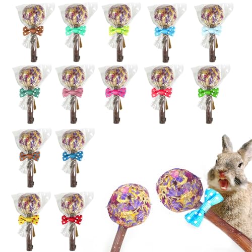 kathson 16PCS Rabbit Timothy Hay Treats Sticks,Interactive Bunny Lollipop Chew Sticks,Natural Guinea Pigs Chewing Treats Molar Teeth Toys for Small Animals,Chinchilla,Hamster,Gerbil - color: 16