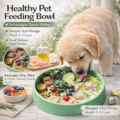 2026 New Silicone Slow Feeder Pet Bowl – 1.8 in Deep Slow-Eat Dog & Cat Bowl with Strong Suction Base, Dry & Wet Food Separation, 2–3 Cups Capacity, Easy Clean Non-Slip Design,BPA-Free - color: Sage Green