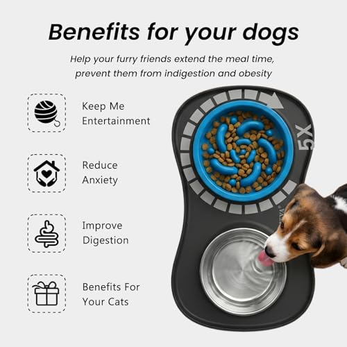 YINEYA 3 in 1 Slow Feeder Dog Bowls,Dog Water Bowl,Cat and Dog Food Bowl - color: Black, size: Small