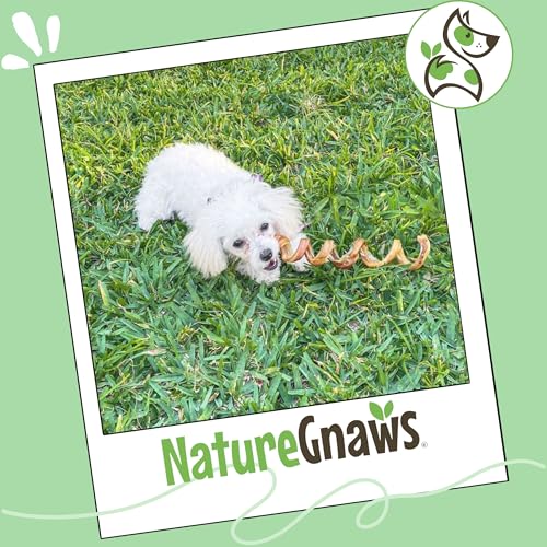 Nature Gnaws Bully Stick Springs 7-8" Rawhide Free Dog Chews, 6 Count - style: 8" Springs