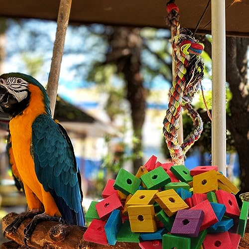 Parrot Wood Chip Toy 100 Pcs DIY Bird Toys Supplies Chew Blocks with Hole Mixed Color Bite Toy Pieces for Parrots Cockatiels Parakeets Small Birds Cage Activity