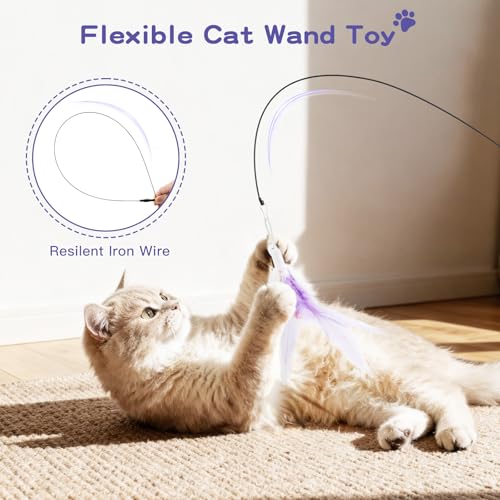 Pawaboo Cat Feather Wand Interactive Toy, 2 Feathers + 1 Wand with Bell - color: Purple