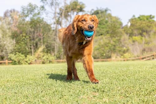 Pet Qwerks Talking Babble Ball - Interactive Chew Dog Toy - Large - size: Large, style: Talking Babble