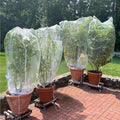 Drawstring Blueberry Netting for Bushes - 2 Pack 4.92×3.94Ft - Easy Install Reusable Garden Netting, Protective Mesh for Fruit Trees & Tomato Plants, Blocks Birds, Squirrels & Insects - size: 4.92×3.94 ft