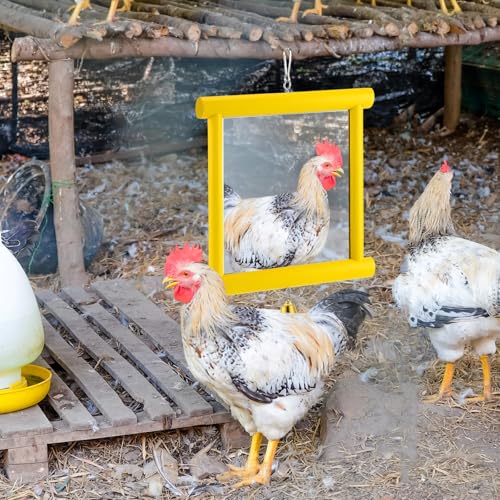 Sadnyy Extra Large Chicken Mirror Toy for Coop Square Double Side Mirror - color: Yellow, size: Square