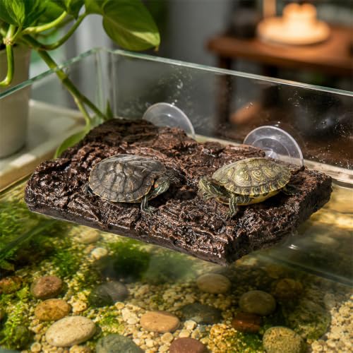 ZENFUN Turtle Basking Platform, Fish Tank Aquarium Tortoise Climbing Platform with 3 Suction Cups, Baby Tortoise Resting Terrace, Climbing Ramp Shale Reptiles Dock for Terrapins, Frogs