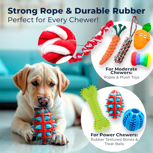 Pacific Pups Products Dog Chew Toys, Dog Toys Bulk, 18 Pack, Small/Medium - size: 18 Count, style: 18 Pack - Classic