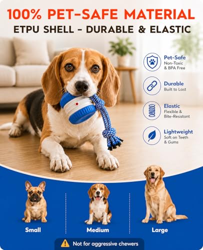 (2 Pack) Interactive Dog Toys for Small Dogs — Boredom Relief & Indoor Enrichment, Automatic Rolling Ball with Rope, Motion Activated Self Moving Dog Toy (Blue + Orange)