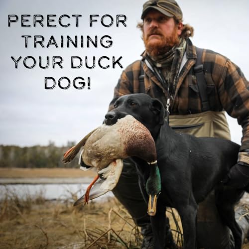 Dog Training Scent for Hunting Dogs - Great Nosework for a Duck or Bird Dog - style: Duck