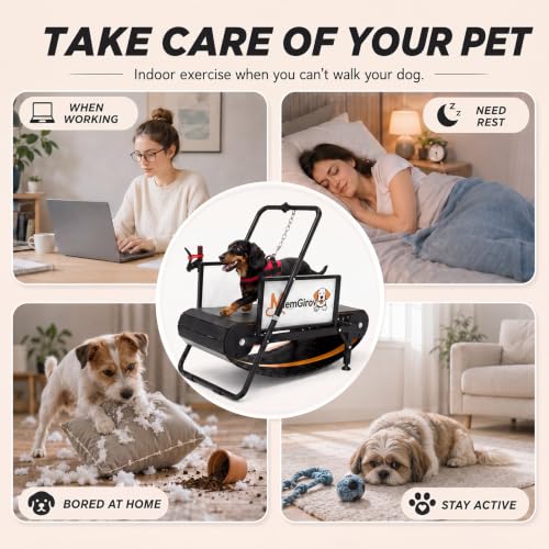 Dog Treadmill, Non-Motorized for Small Medium Dogs, Indoor & Out