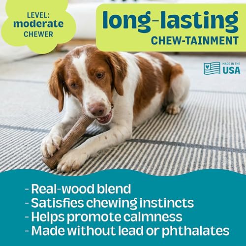 Pupstages Dogwood Stick Dog Chew Toy, Made in USA, Medium, 7.4" - size: Medium (Pack of 1)