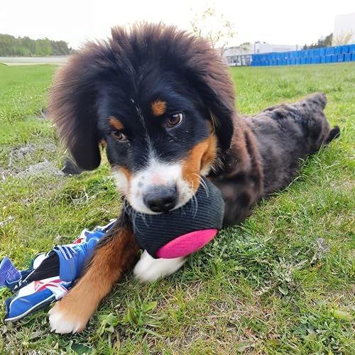 Dingo Gear Dog Ball with Long Handle, French Linen, Pink 29 in - color: Pink-Black
