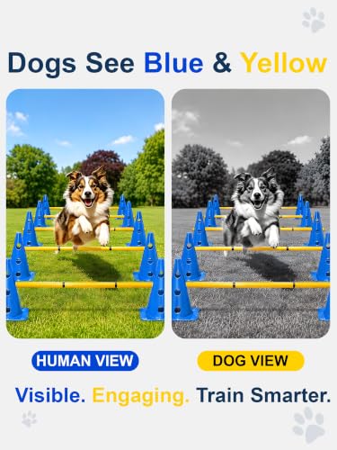 Dog Agility Training Hurdle Cone Set, Adjustable Dog Agility Equipment Obstacle Course Backyard Equipment for Pet Exercise 6 Set - color: Blue
