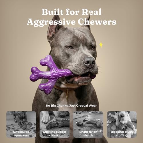 Frienhund 2-Pack Tough Dog Chew Toys for Aggressive Chewers, Beef, 20-90 Lb - color: Green & Purple-2-Pack