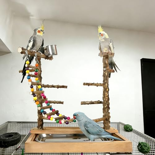 Natural Wood Bird Perch Stand Parrot Playground Play Gym - color: Brown
